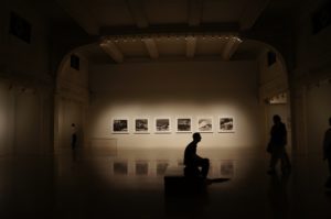 A person sitting and looking at art in a gallery