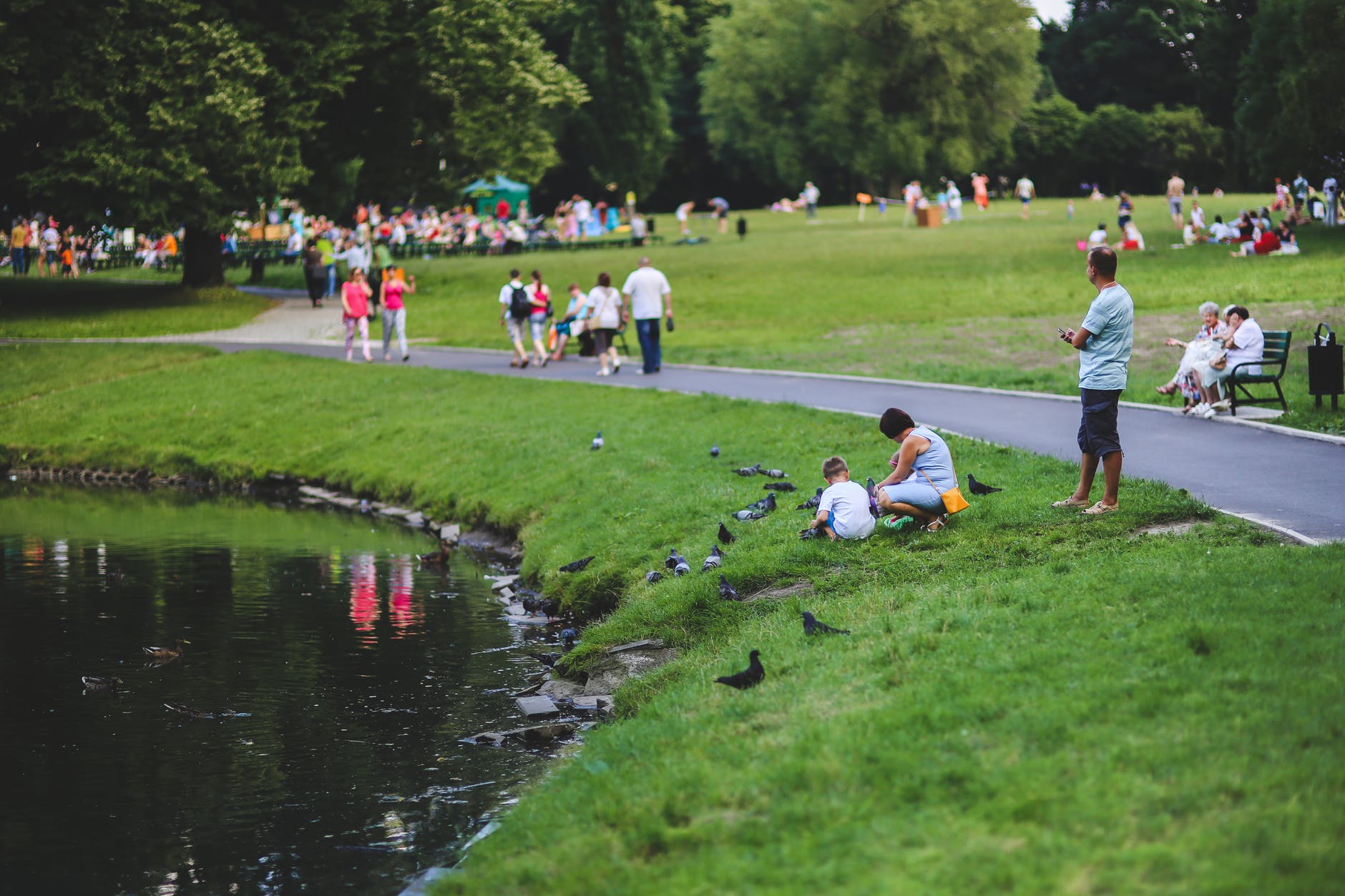 A park filled with people.