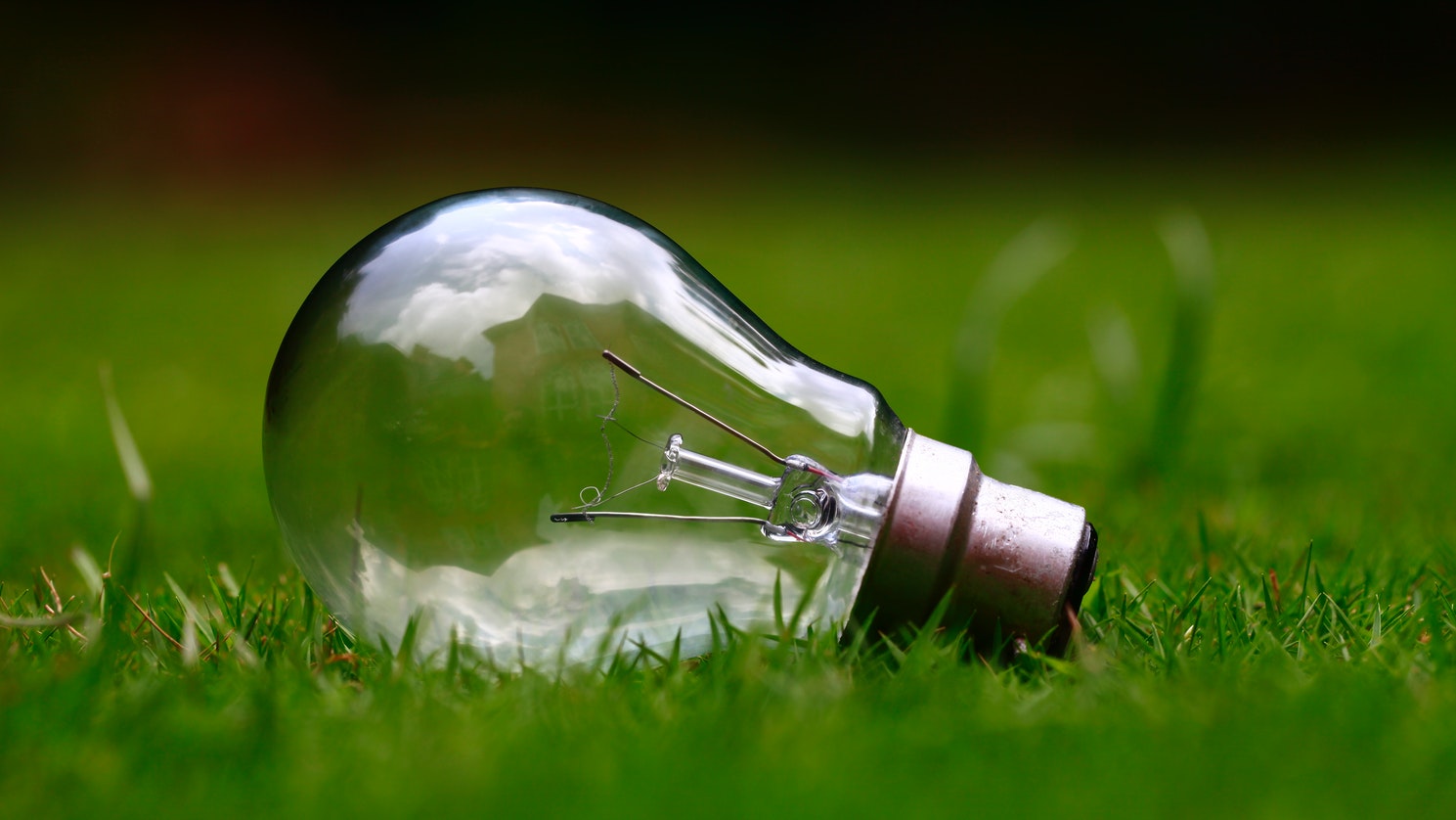 A light bulb sitting in grass.