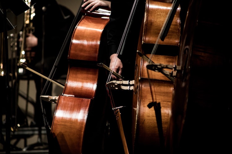 People playing string instruments in the symphony, an indoor attraction.