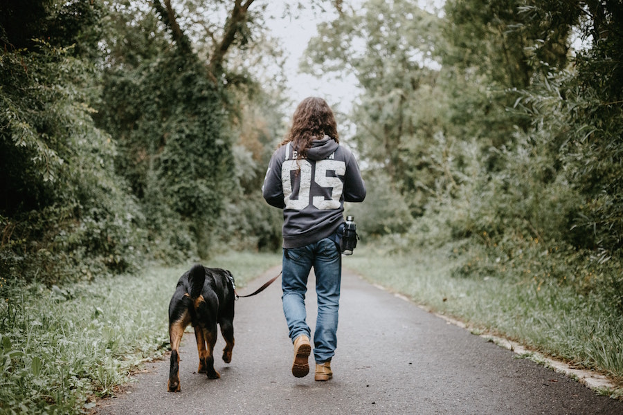 Person walking dog and staging with pets