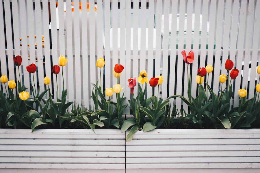 Flower bed at Fort Worth events