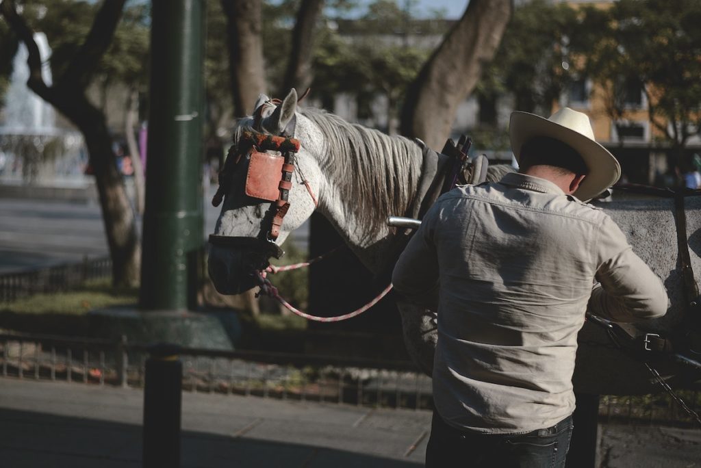 Cowboy at Fort Worth destinations