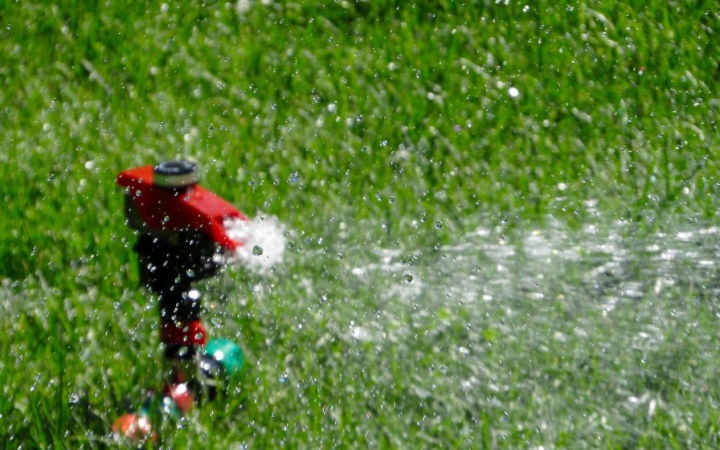 Sprinkler on a lawn