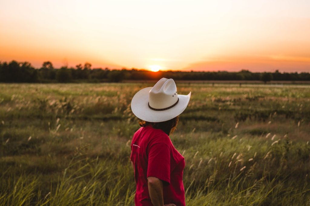 Cowgirl in a field